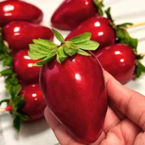 Morangos do amor prontos